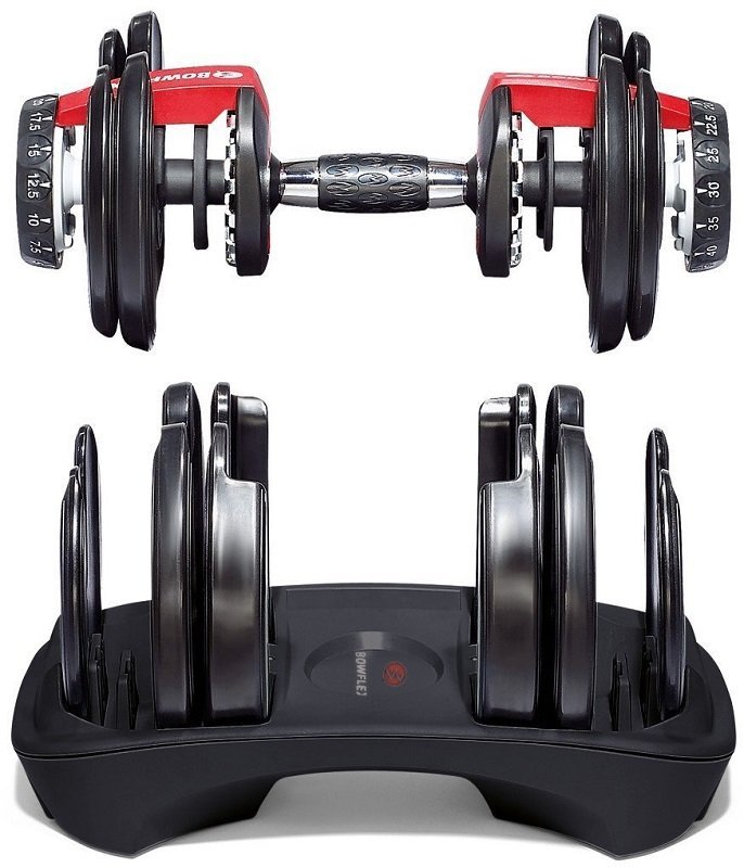 Bowflex SelectTech 552 dumbbells and base