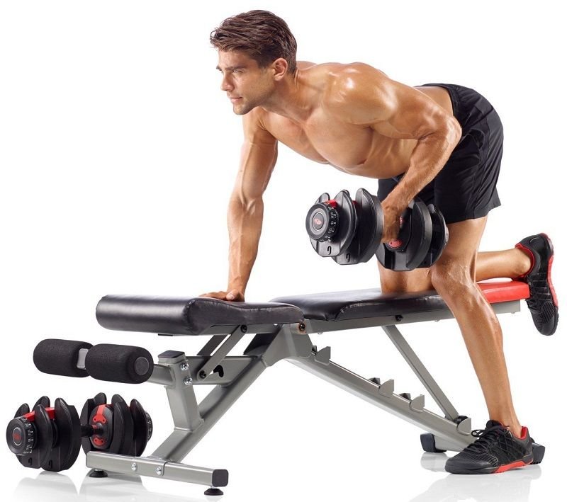 Bowflex 552 dumbbells bench workout